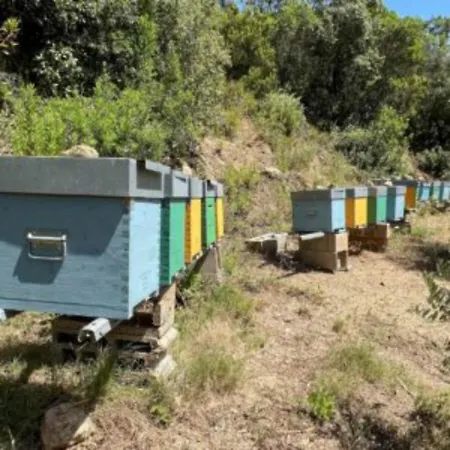 Amandolo Farm stay Cavo