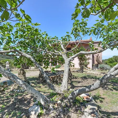 Amandolo Lantgård *